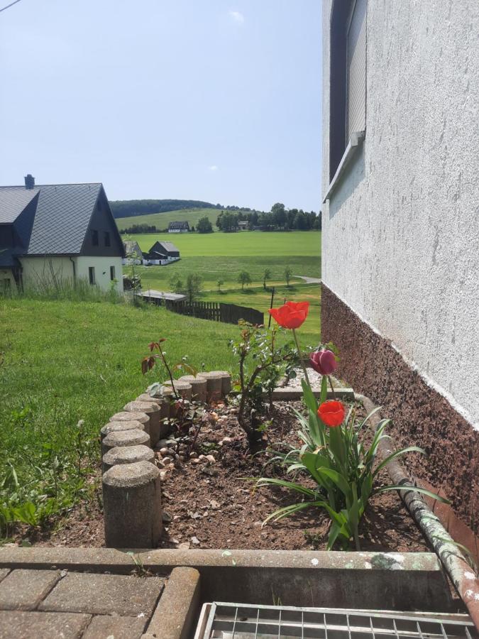 Wiesenblick In Appartement