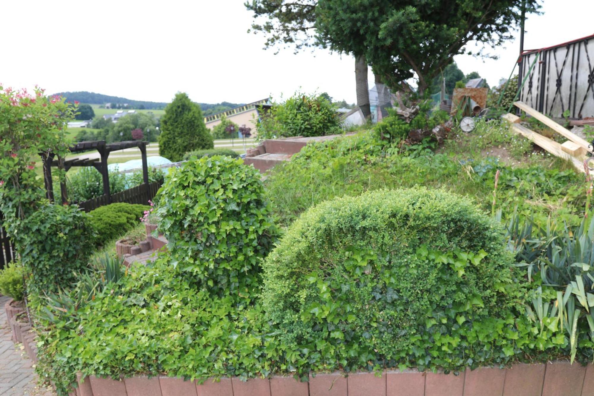 Wiesenblick In